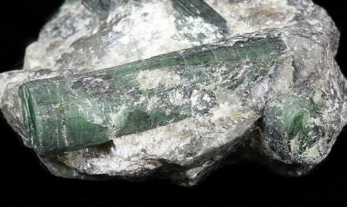 Beryl (Var: Emerald) Crystals in Quartz & Biotite - Bahia, Brazil #44117
